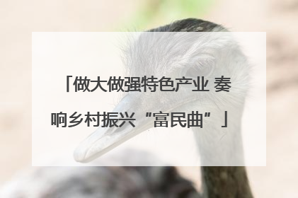 做大做强特色产业 奏响乡村振兴“富民曲”