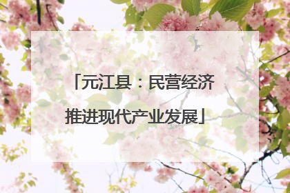 元江县：民营经济推进现代产业发展