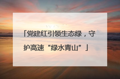 党建红引领生态绿，守护高速“绿水青山”