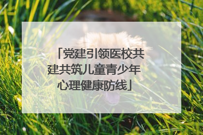 党建引领医校共建共筑儿童青少年心理健康防线
