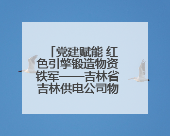 党建赋能 红色引擎锻造物资铁军——吉林省吉林供电公司物资部激活供应链新动能