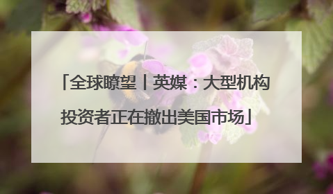 全球瞭望丨英媒：大型机构投资者正在撤出美国市场