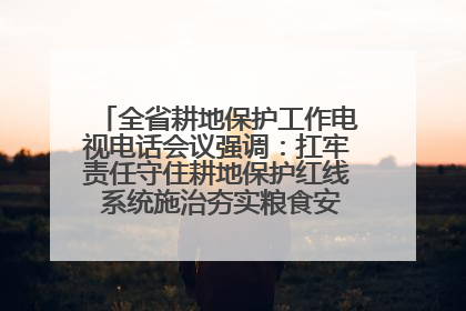 全省耕地保护工作电视电话会议强调：扛牢责任守住耕地保护红线 系统施治夯实粮食安全根基 王宁作出批示 王予波出席并讲话