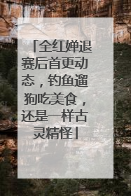 全红婵退赛后首更动态，钓鱼遛狗吃美食，还是一样古灵精怪