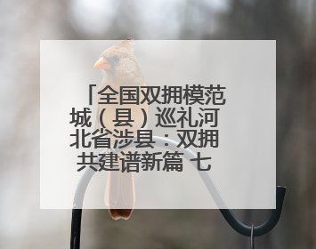 全国双拥模范城（县）巡礼河北省涉县：双拥共建谱新篇 七度折桂耀太行