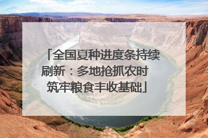 全国夏种进度条持续刷新：多地抢抓农时 筑牢粮食丰收基础