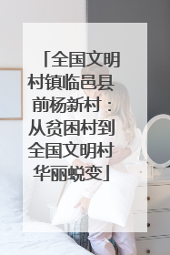 全国文明村镇临邑县前杨新村：从贫困村到全国文明村华丽蜕变