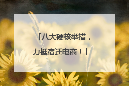 八大硬核举措，力挺宿迁电商！