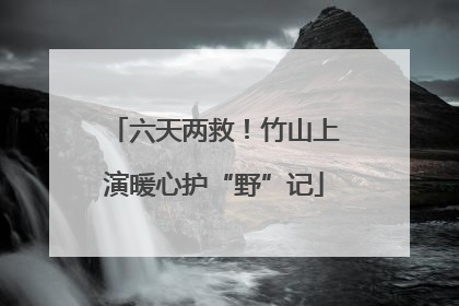 六天两救！竹山上演暖心护“野”记
