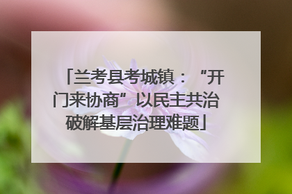 兰考县考城镇：“开门来协商”以民主共治破解基层治理难题