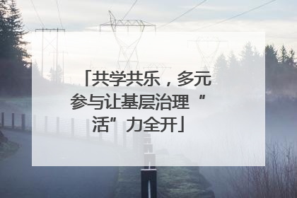 共学共乐，多元参与让基层治理“活”力全开