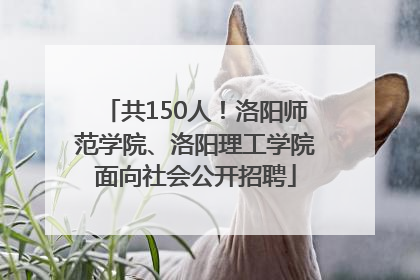 共150人！洛阳师范学院、洛阳理工学院面向社会公开招聘
