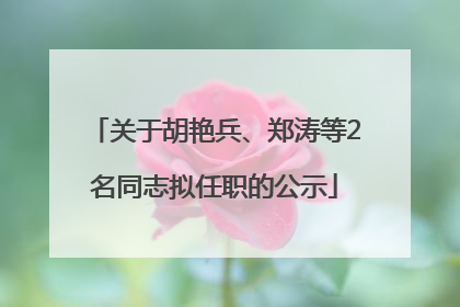 关于胡艳兵、郑涛等2名同志拟任职的公示
