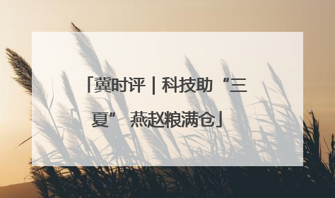 冀时评｜科技助“三夏” 燕赵粮满仓