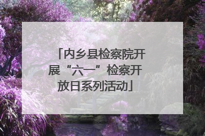 内乡县检察院开展“六一”检察开放日系列活动