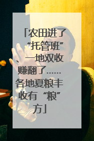农田进了“托管班”、一地双收赚翻了……各地夏粮丰收有“粮”方