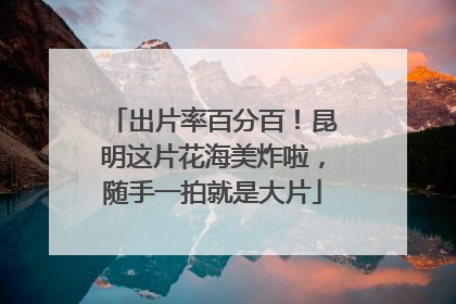出片率百分百！昆明这片花海美炸啦，随手一拍就是大片