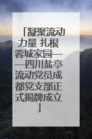 凝聚流动力量 扎根蓉城家园——四川盐亭流动党员成都党支部正式揭牌成立