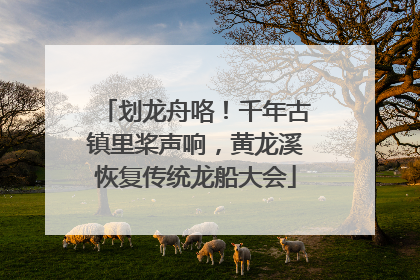 划龙舟咯！千年古镇里桨声响，黄龙溪恢复传统龙船大会