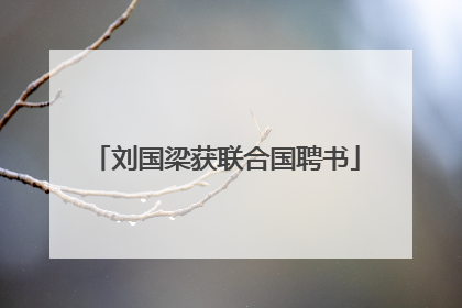 刘国梁获联合国聘书
