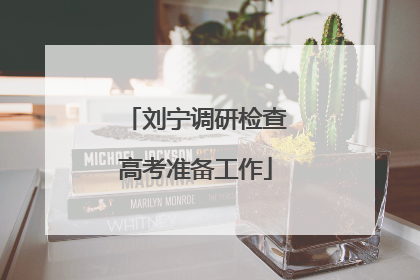 刘宁调研检查高考准备工作