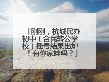 刚刚，杭城民办初中（含民转公学校）摇号结果出炉！有你家娃吗？