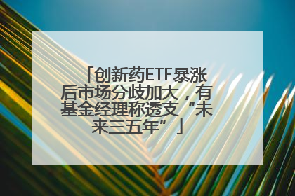 创新药ETF暴涨后市场分歧加大，有基金经理称透支“未来三五年”
