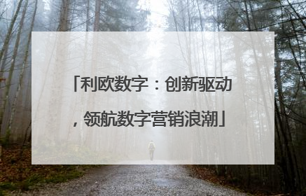 利欧数字：创新驱动，领航数字营销浪潮