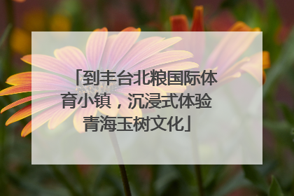 到丰台北粮国际体育小镇，沉浸式体验青海玉树文化