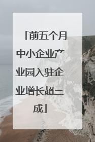 前五个月中小企业产业园入驻企业增长超三成