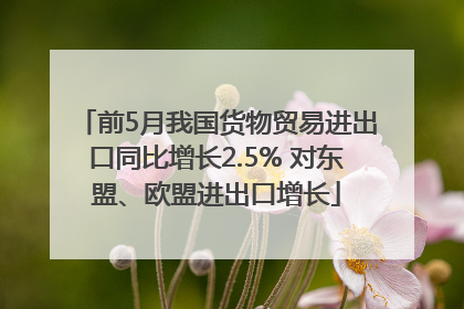 前5月我国货物贸易进出口同比增长2.5% 对东盟、欧盟进出口增长
