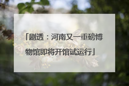 剧透：河南又一重磅博物馆即将开馆试运行