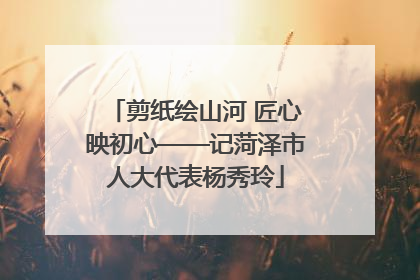 剪纸绘山河 匠心映初心——记菏泽市人大代表杨秀玲