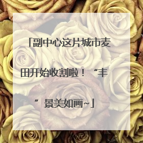 副中心这片城市麦田开始收割啦！“丰”景美如画~