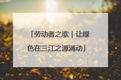 劳动者之歌｜让绿色在三江之源涌动