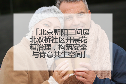 北京朝阳三间房北双桥社区开展花箱治理，构筑安全与诗意共生空间