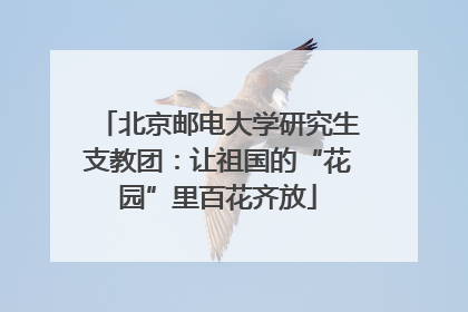 北京邮电大学研究生支教团：让祖国的“花园”里百花齐放