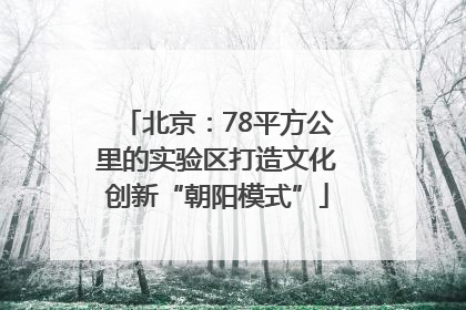 北京：78平方公里的实验区打造文化创新“朝阳模式”