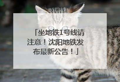 坐地铁1号线请注意！沈阳地铁发布最新公告！