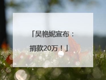 吴艳妮宣布：捐款20万！