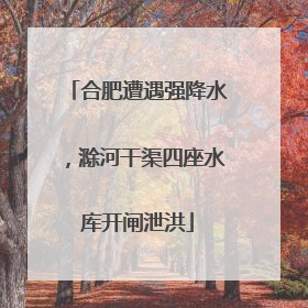 合肥遭遇强降水，滁河干渠四座水库开闸泄洪