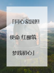 同心家国担使命 红柳筑梦践初心