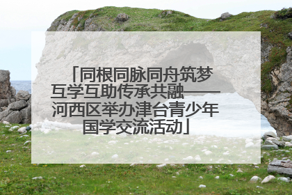 同根同脉同舟筑梦 互学互助传承共融——河西区举办津台青少年国学交流活动