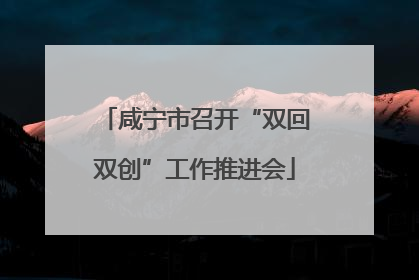 咸宁市召开“双回双创”工作推进会