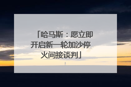 哈马斯：愿立即开启新一轮加沙停火间接谈判