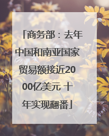 商务部：去年中国和南亚国家贸易额接近2000亿美元 十年实现翻番