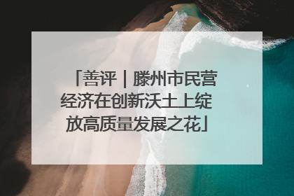 善评｜滕州市民营经济在创新沃土上绽放高质量发展之花