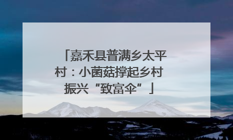 嘉禾县普满乡太平村：小菌菇撑起乡村振兴“致富伞”