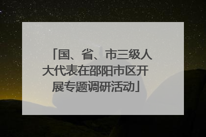 国、省、市三级人大代表在邵阳市区开展专题调研活动