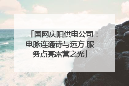 国网庆阳供电公司：电脉连通诗与远方 服务点亮露营之光